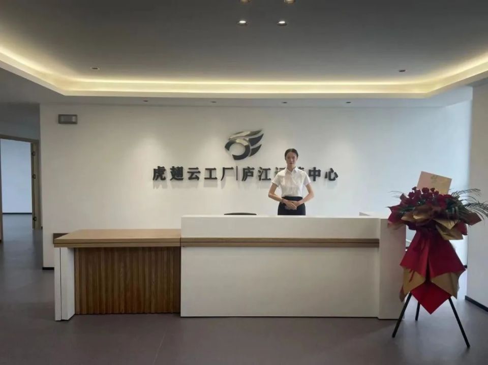廬江虎翅云工廠數字中心 引領互聯網數據服務新篇章